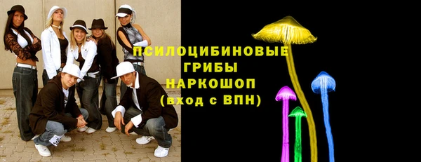 молекула духа Михайловка