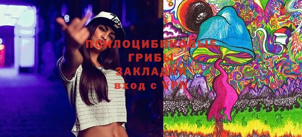 твердый Михайловск