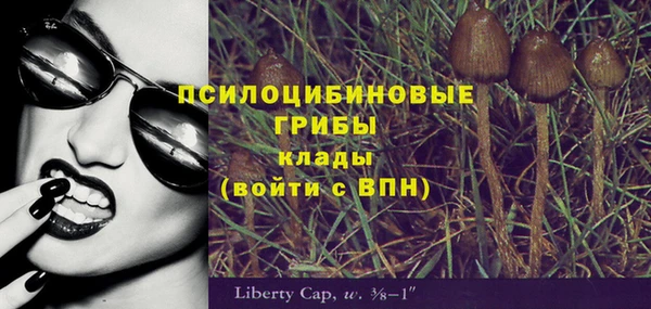 твердый Михайловск