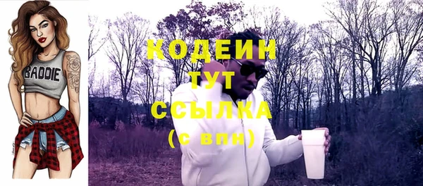твердый Михайловск
