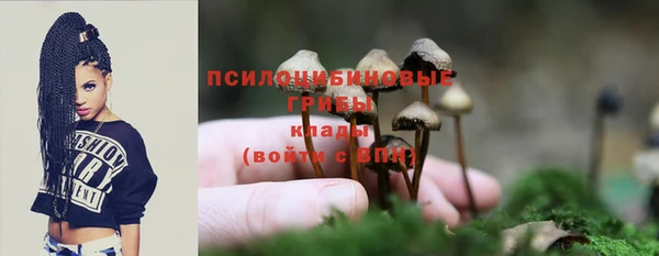 стаф Михайлов