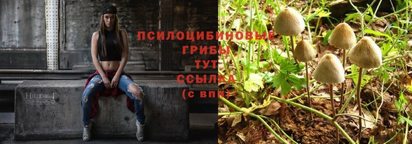 стаф Михайлов