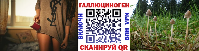 Псилоцибиновые грибы Cubensis  Цоци-Юрт 